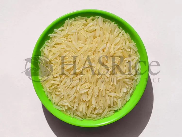1121 Sella Basmati Rice grains close-up